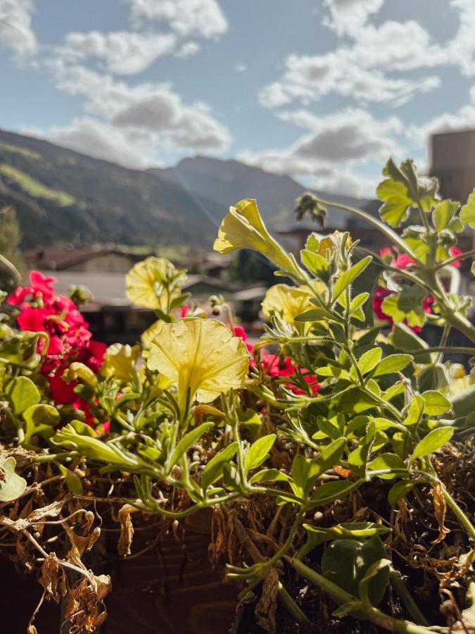 Apartment Goldene Mitte Aschau Im Zillertal Ngoại thất bức ảnh